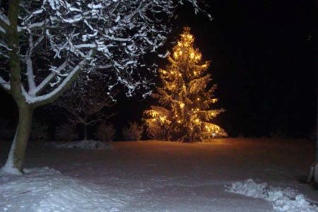 Il nostro albero di Natale