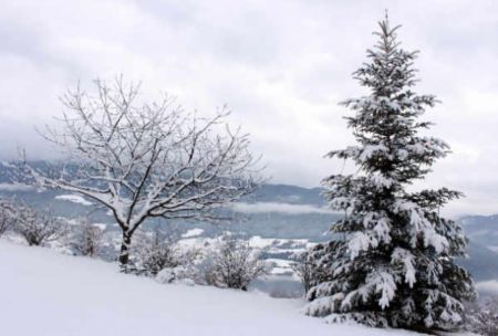 L'inverno in fattoria