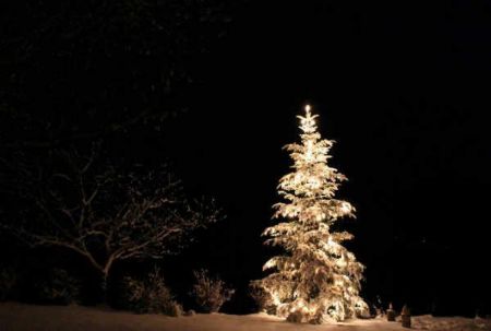 Il nostro albero di Natale a casa