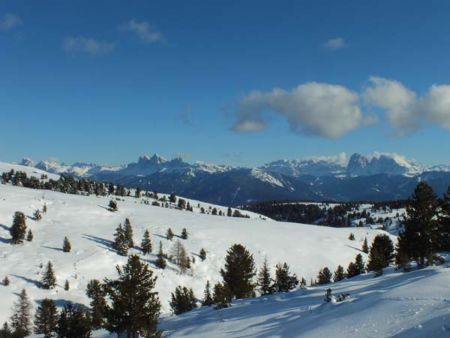 Winterwanderung auf der Villanderer Alm mit Blick auf die Dolomiten