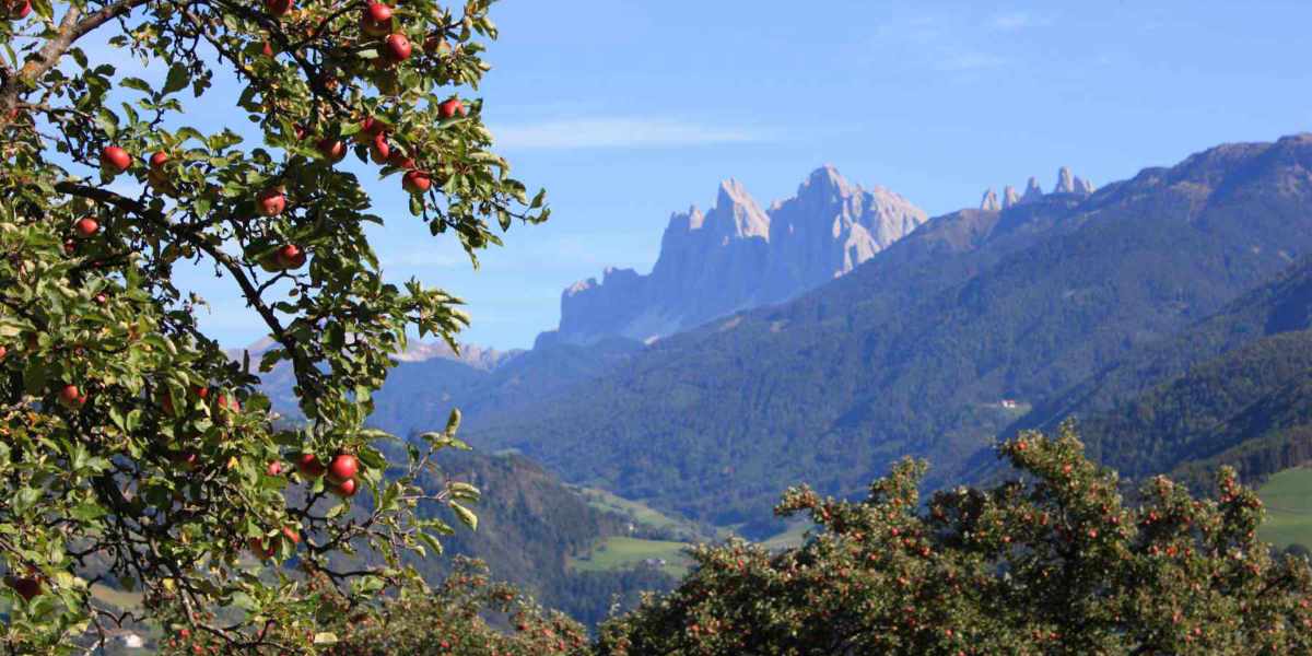 ...godetevi il caldo sole...