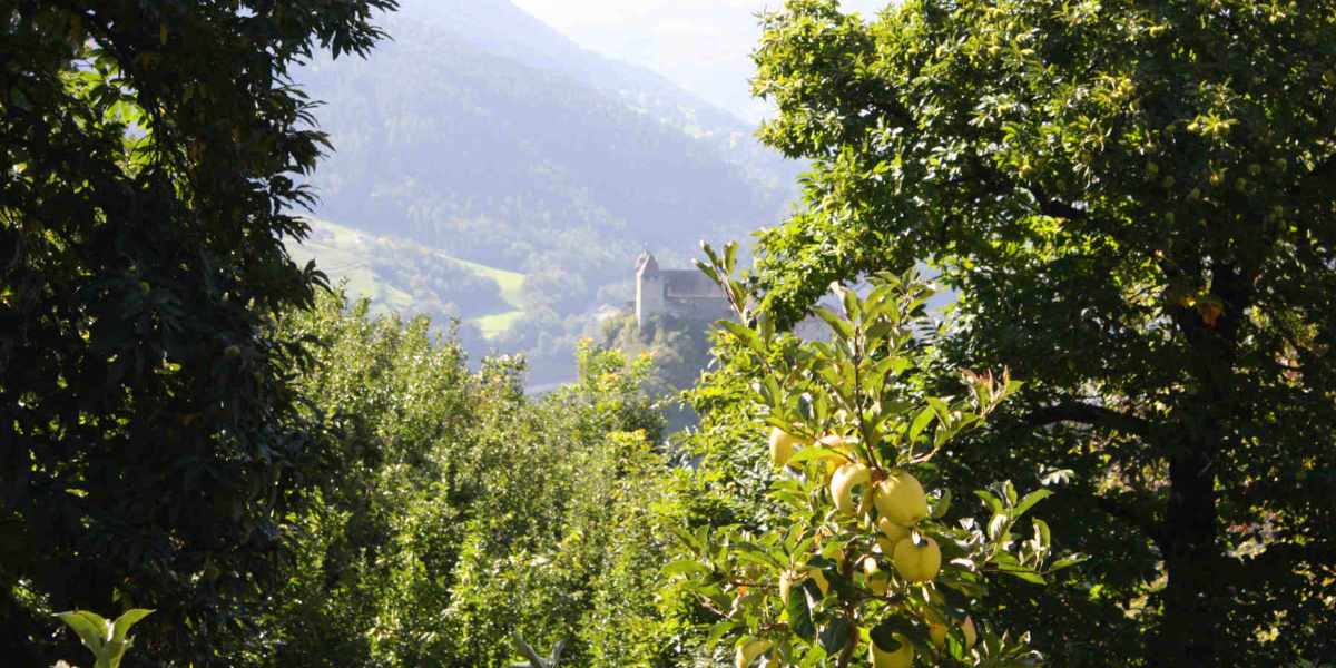 ...nella nostra fattoria e nei bellissimi dintorni